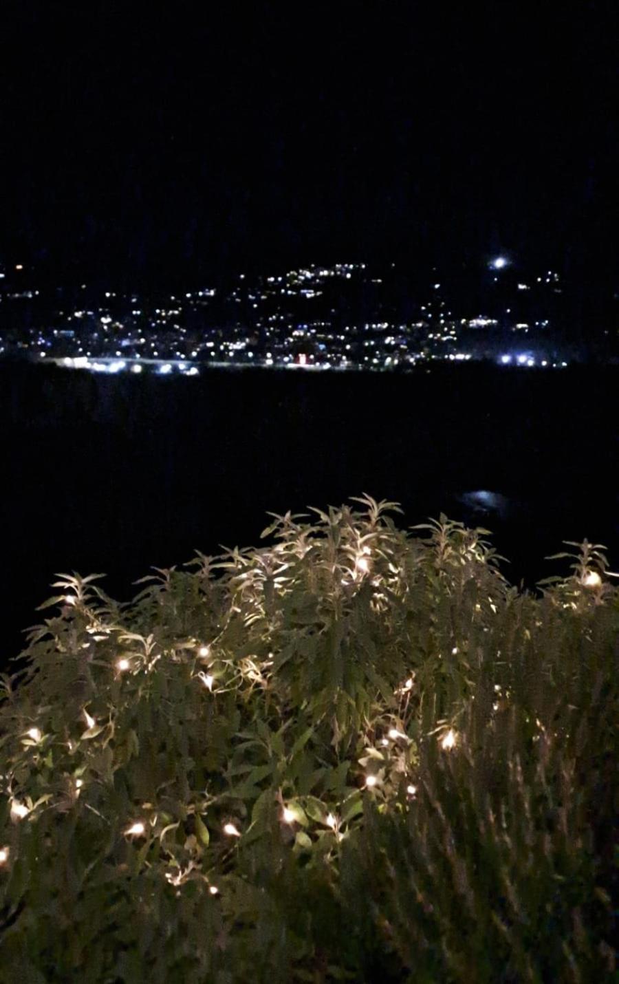Il Paradiso All'Improvviso Vezzano Ligure Exterior photo